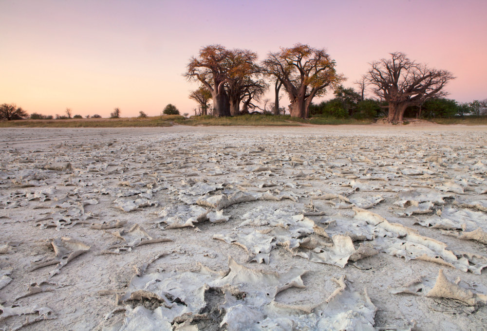 Gweta – das Tor zu den Makgadikgadi-Salzpfannen